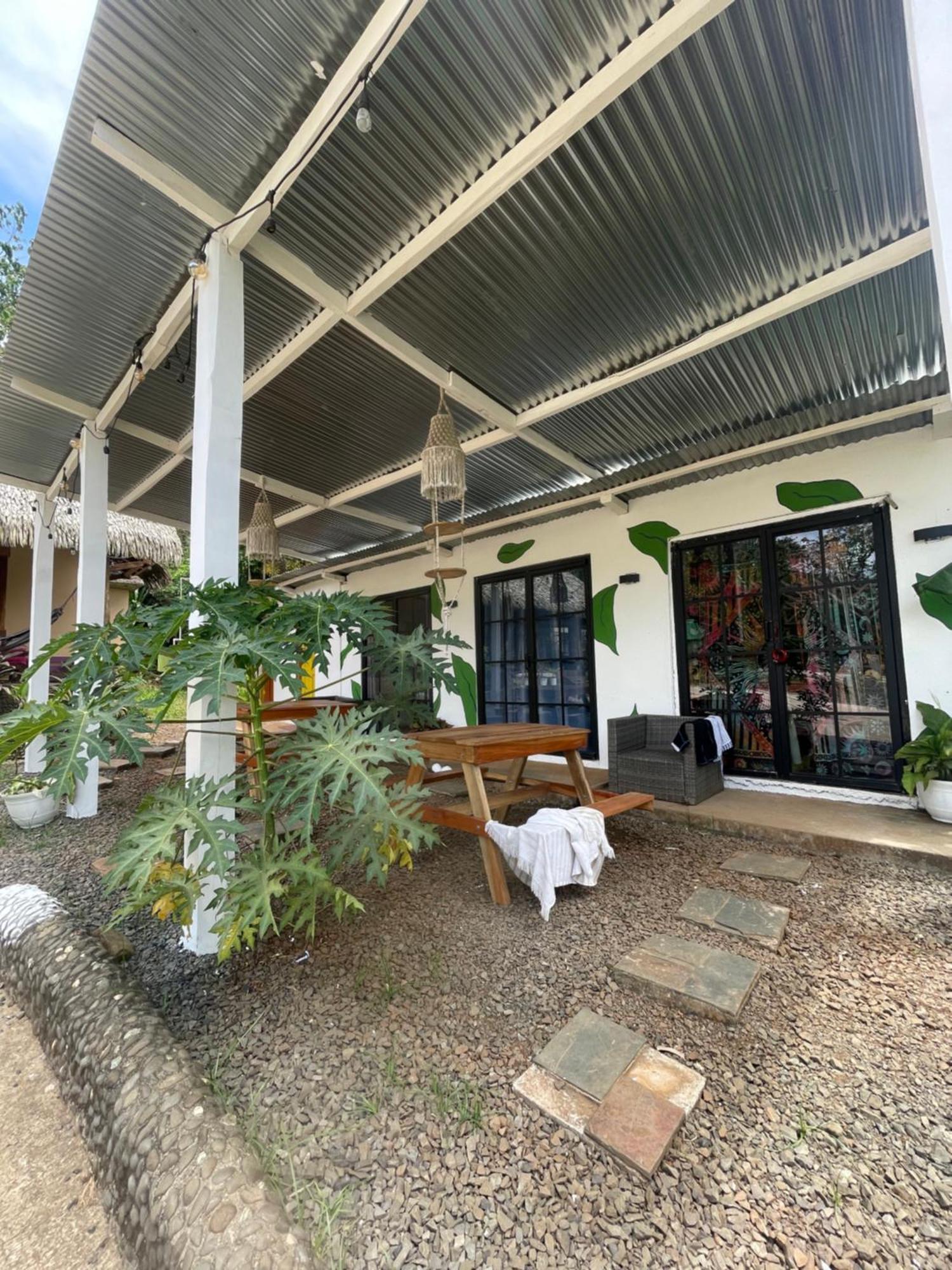 סנטה קתרינה Urbanos Jungle Hostel מראה חיצוני תמונה